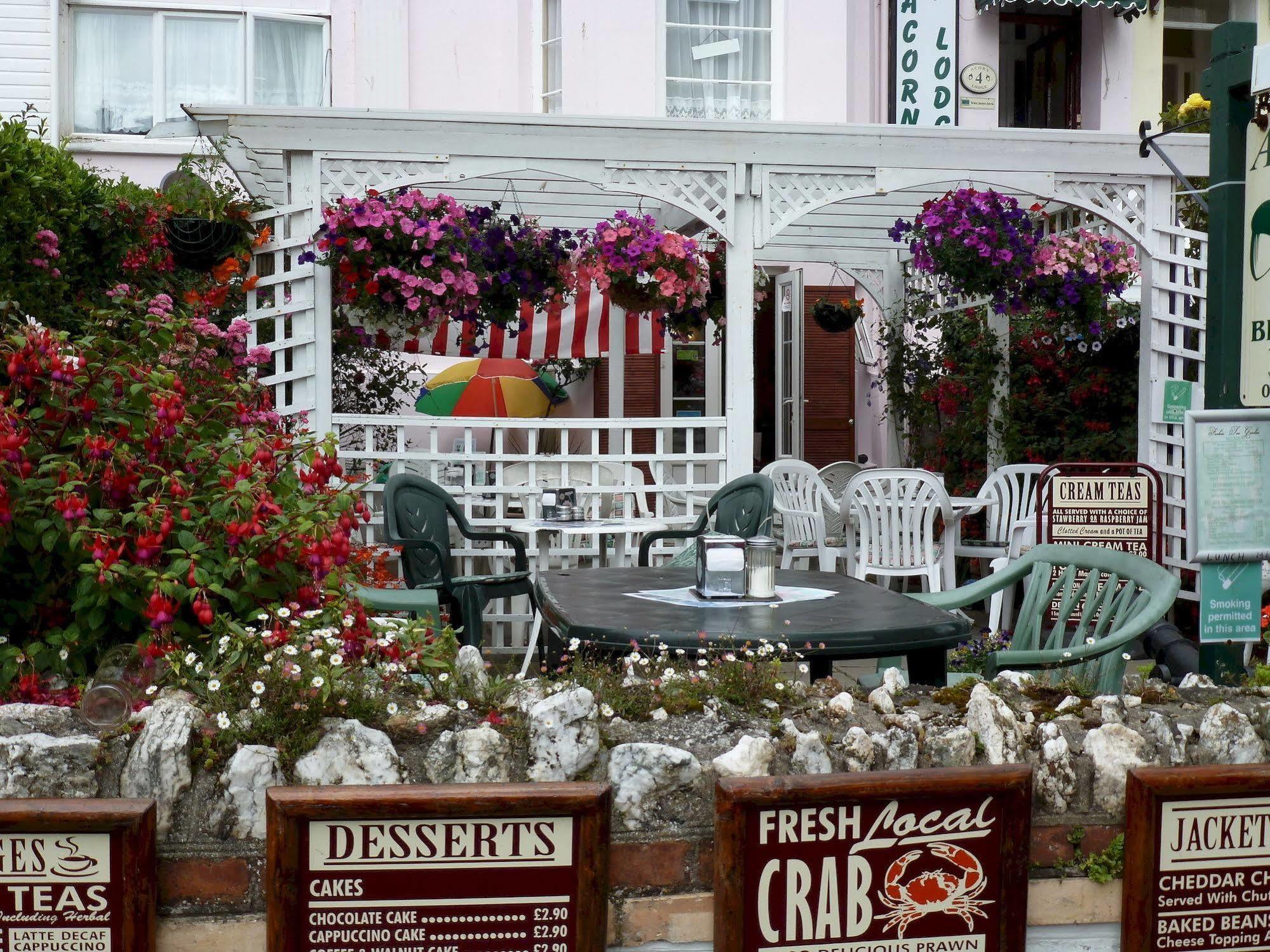 The Acorn Lodge Ilfracombe Exterior photo